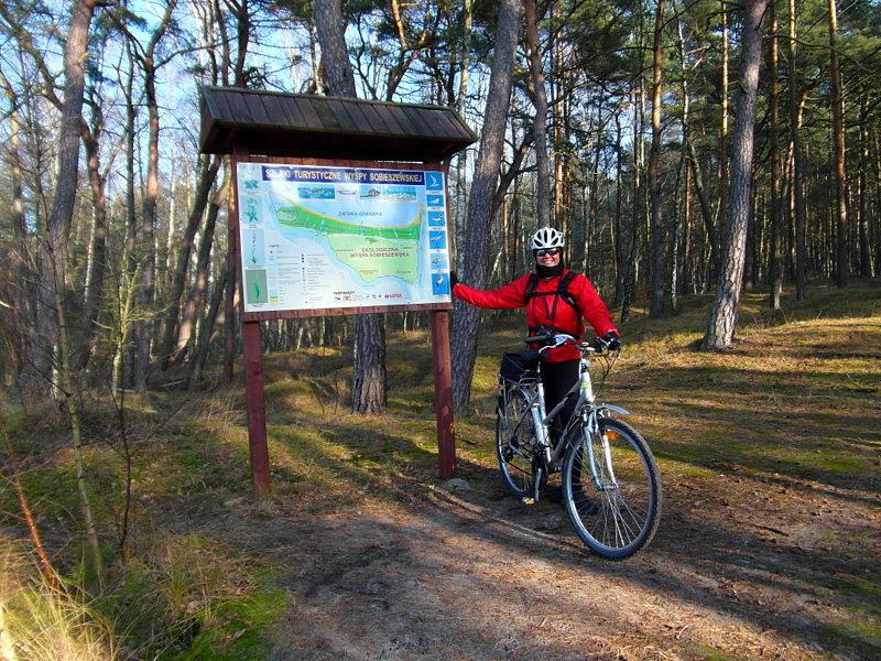 Na szlaku rowerowym Wyspy Sobieszewskiej