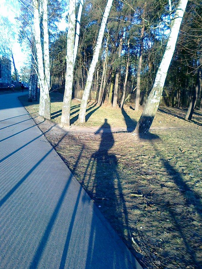 Słoneczny dzień