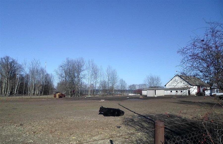 Hodowla w Wólce Kosowskiej