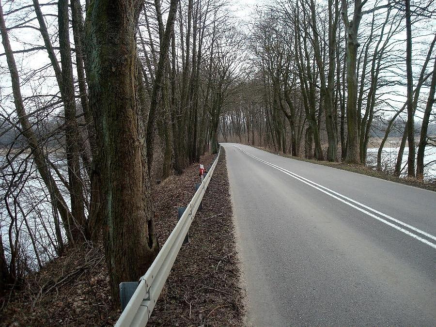 Rogatki Ińska