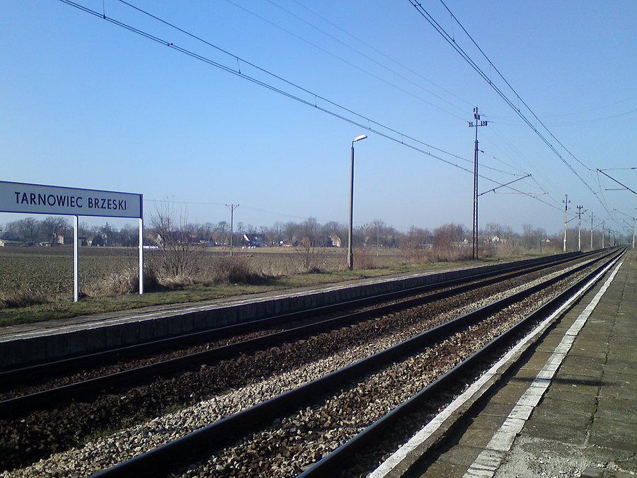 Po prostu Tarnowiec