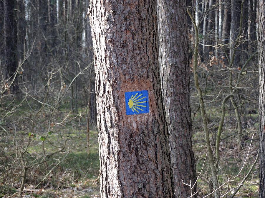 Droga św. Jakuba
