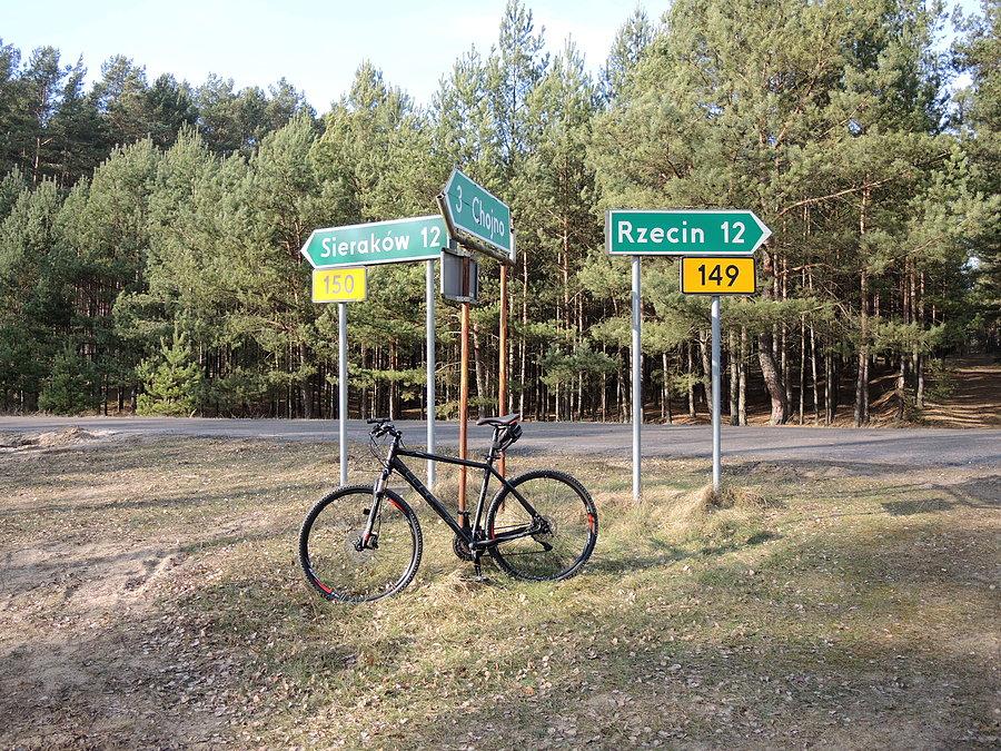 Na skrzyżowaniu Sieraków - Chojno - Rzecin