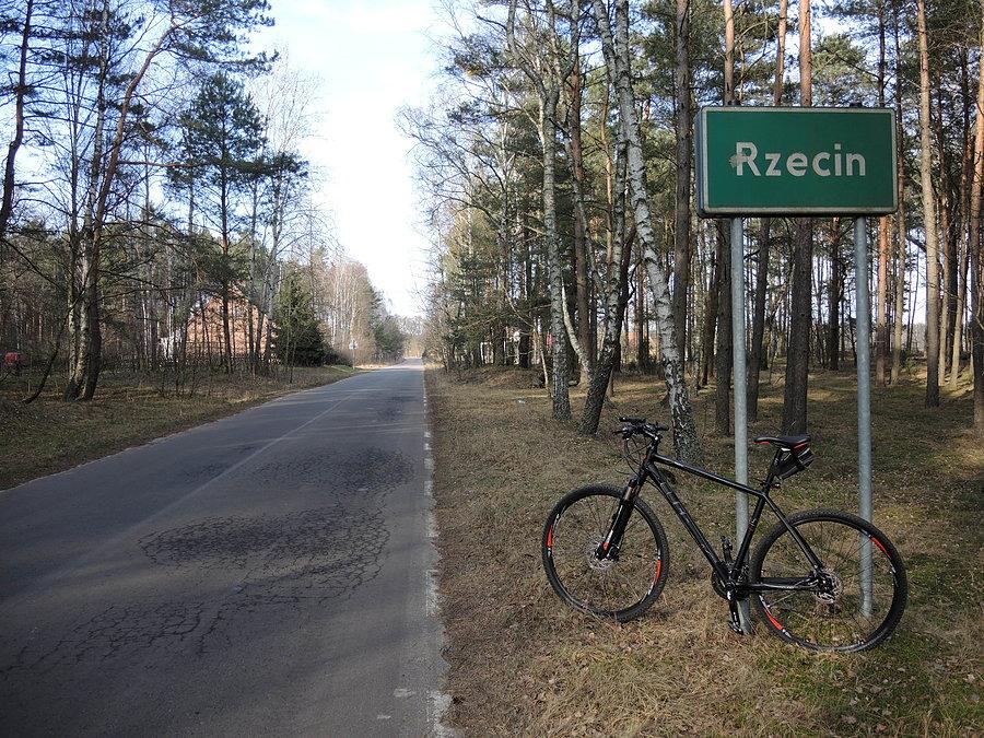 Rzecin w Puszczy Noteckiej