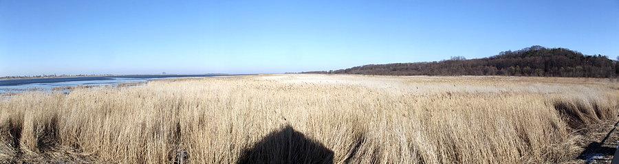 Rezerwat Zatoka Elbląska - panorama z czatowni
