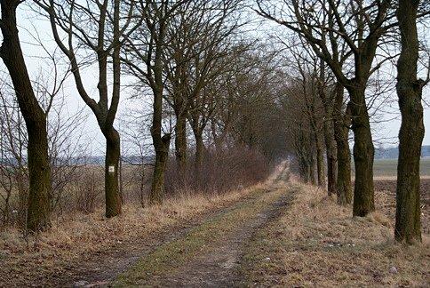 Tędy prowadzi łódzki szlak konny