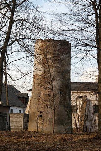 Na terenie Państwowego Stada Ogierów w Bogusławicach pod Wolborzem