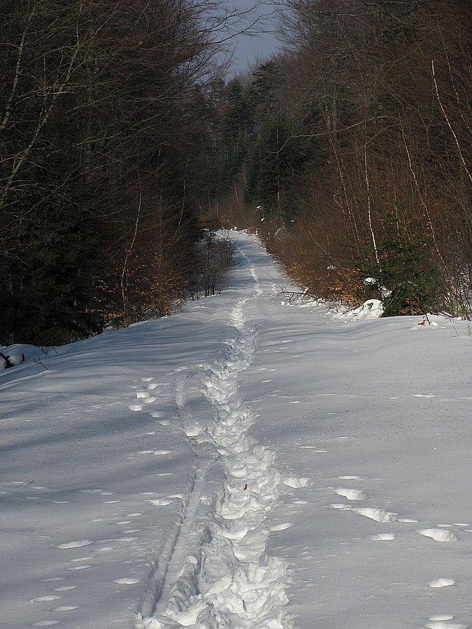 Początkowo biegnie sie kiepsko