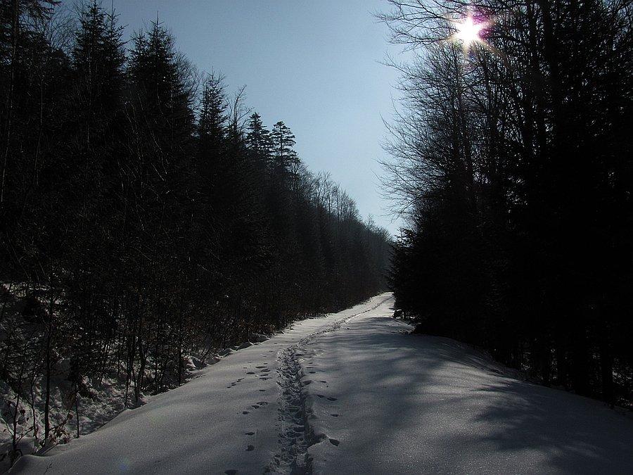 Ciąąągle w górę