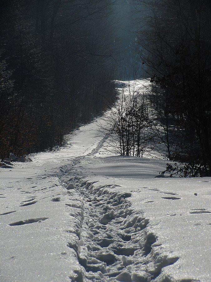Końcówka do Hali Świerzowskiej