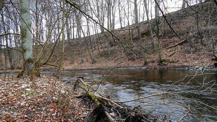W Dolinie Krąpieli