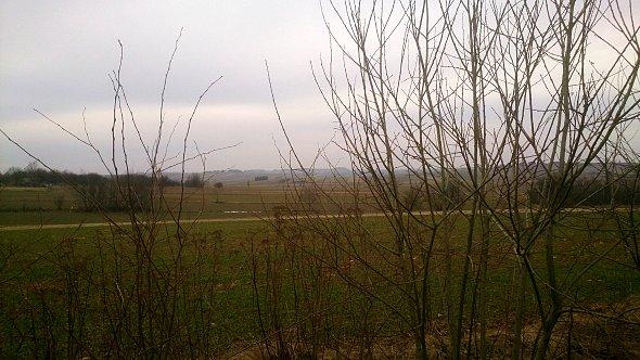 Widok na pola w Chmielu