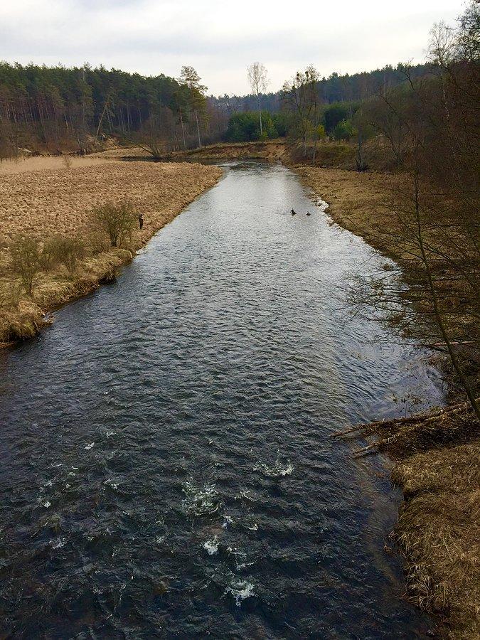 Piękna Wda lutową porą