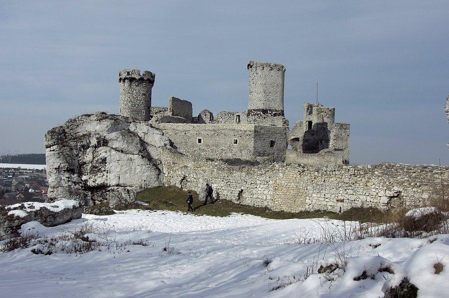 Ogrodzieniec w zimowej scenerii I
