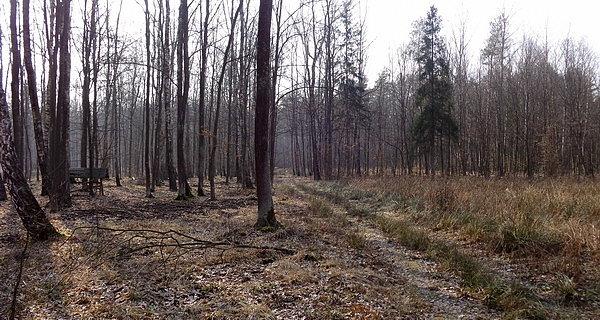Paśnik