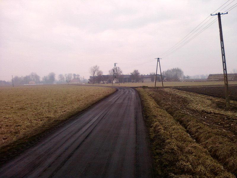 Okolice Florentynowa