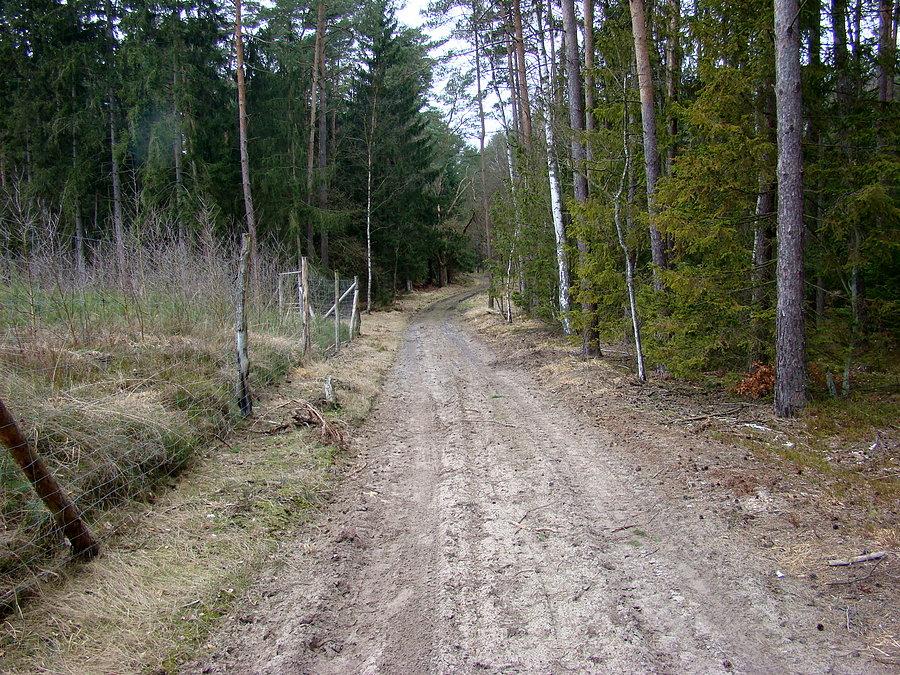 Trochę piachu ale bez błota
