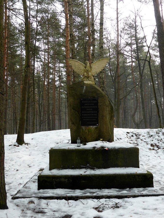 Wiernym Synom Ojczyzny