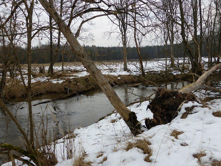 Mała Panew