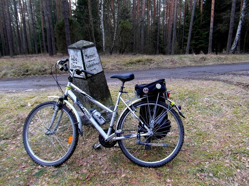 Leśne drogowskazy w Borach Tucholskich