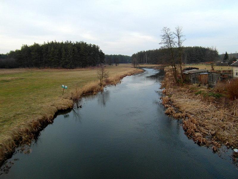 Rzeka Wda