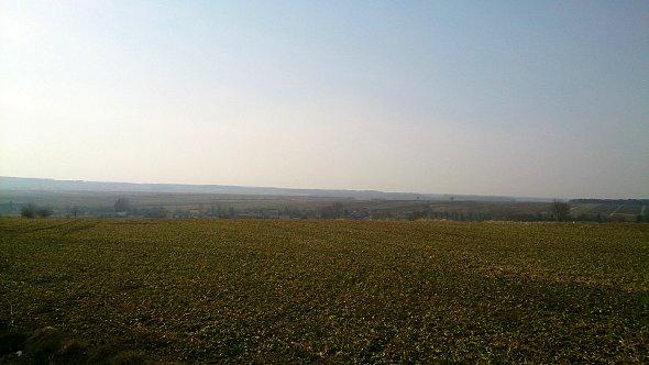 Pola koło Tarnawki