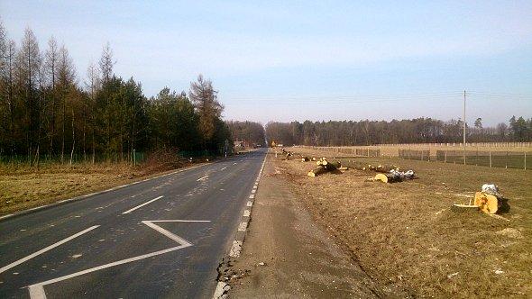 Powycinane drzewa przy drodze wojewódzkiej nr 835