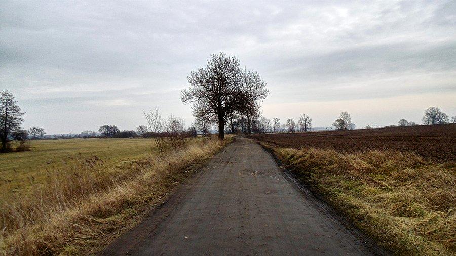 Za Witkowem droga na łąki