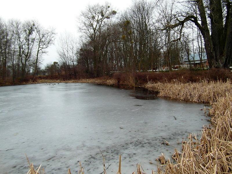 Przypałacowy stawek - Szczerbięcin