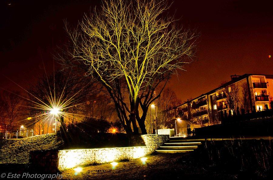 Park Żwirowisko nocą