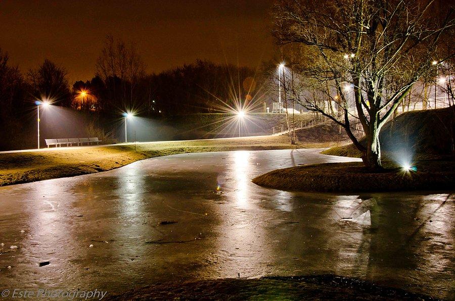 Park Żwirowisko nocą