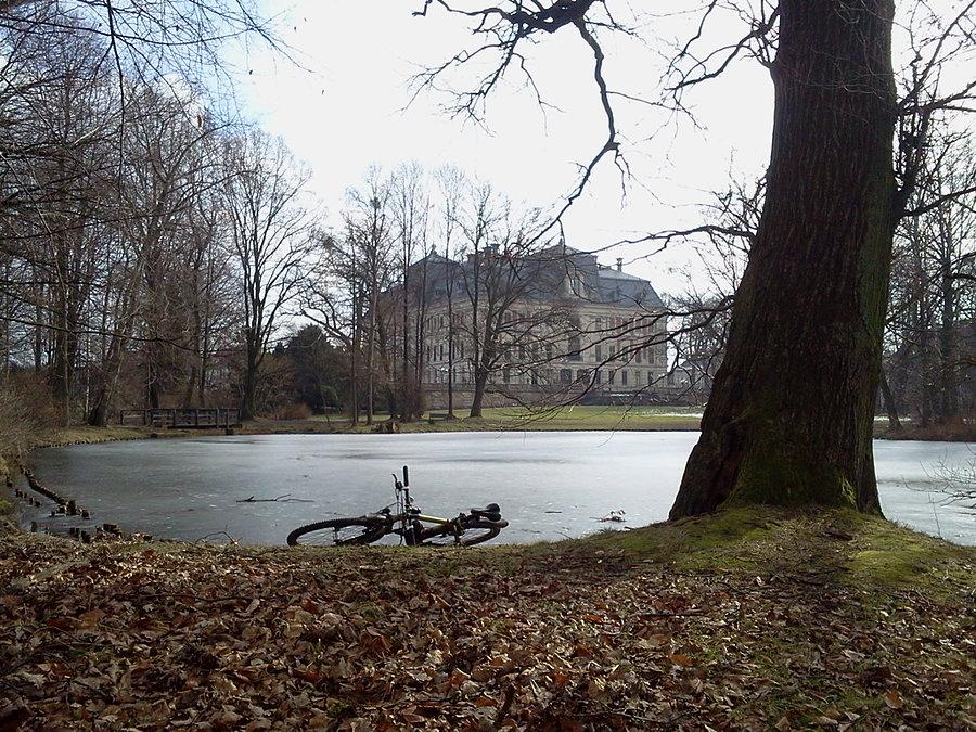Pszczyna park zamkowy