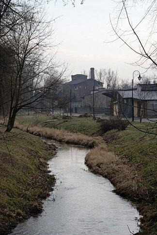 Nad Piasecznicą w Ujeździe