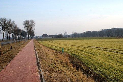 Po słonecznym dywaniku pośród zielonych pól, w drodze do Tomaszowa