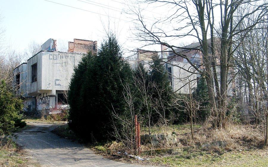 Schola Posnaniensis