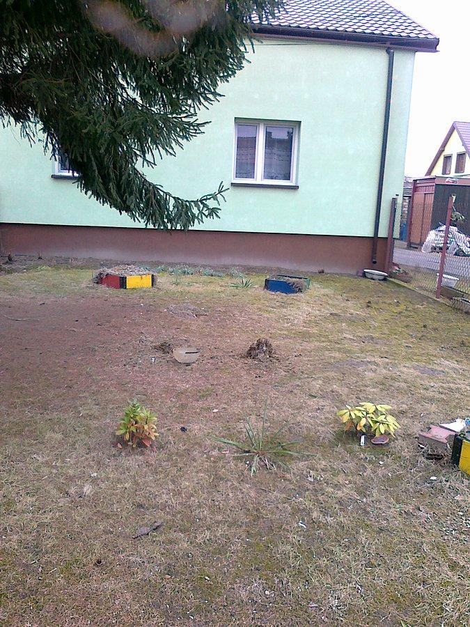 Po bałwankach zostały dwie kupki brudnego śniegu i miska, która była czapką