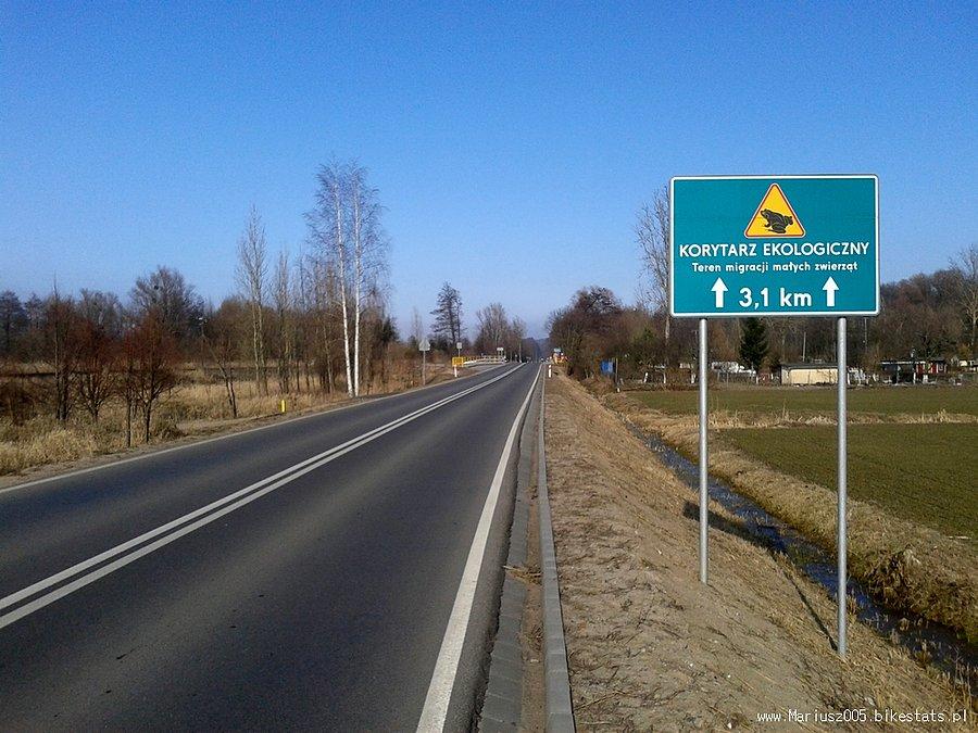 Uwaga żaby
