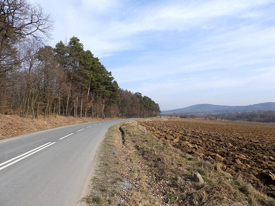 Wzgórza Oleszeńskie i podjazd w okolicy Sulitsrowiczek