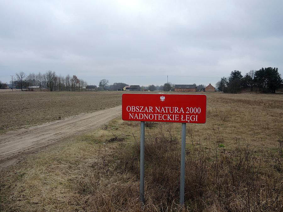 Obszar Natura 2000 - Nadnoteckie Łęgi