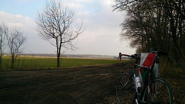 Rower koło lasu w Bystrzejowichach