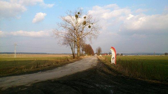 Droga prowadząca do Kawęczyna