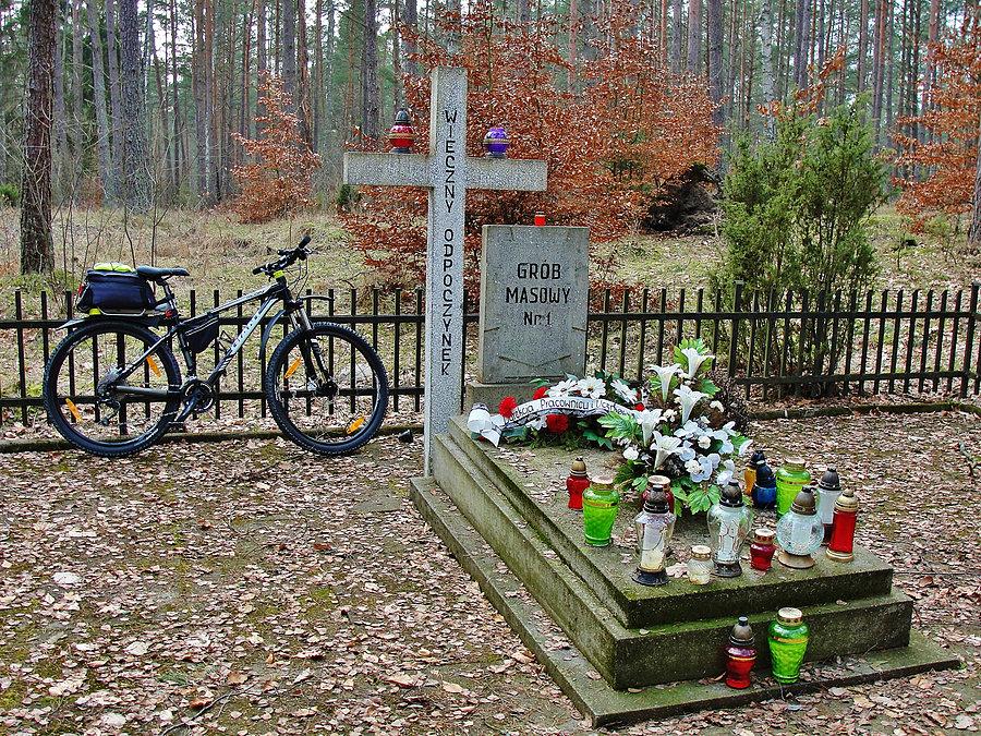 Kociewskie trasy rowerowe. Cmentarz Żydowski z połowy XIX w. - Nadleśnictwo Starogard Gd