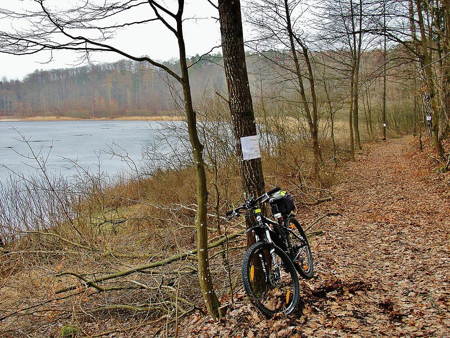 Kociewskie trasy rowerowe. Jezioro Borówno Małe