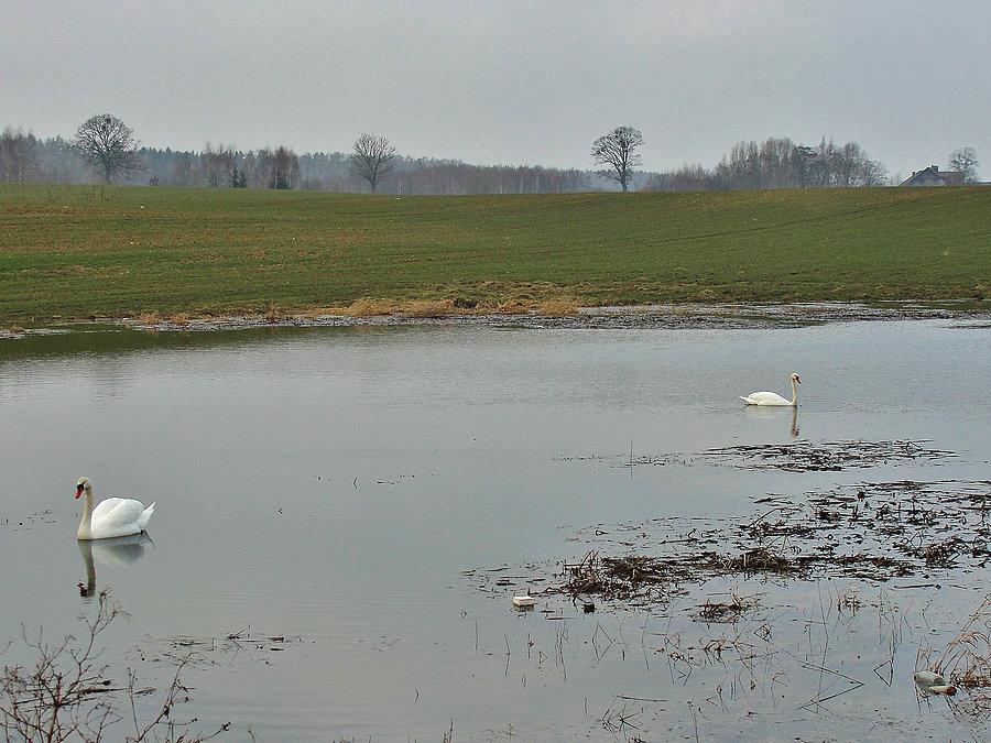 Kociewskie trasy rowerowe