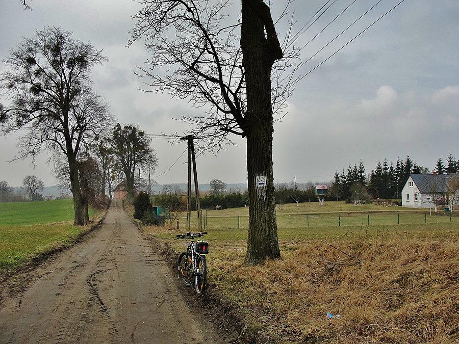 Kociewskie trasy rowerowe