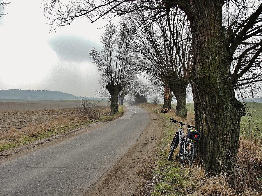 Kociewskie trasy rowerowe