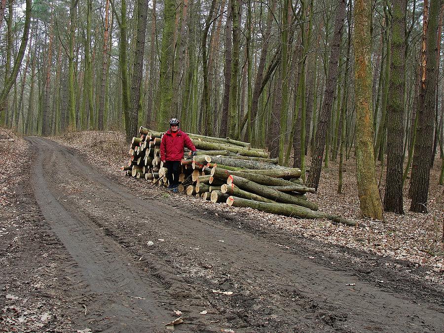 Kociewskie trasy rowerowe. Okolice Sobowidza