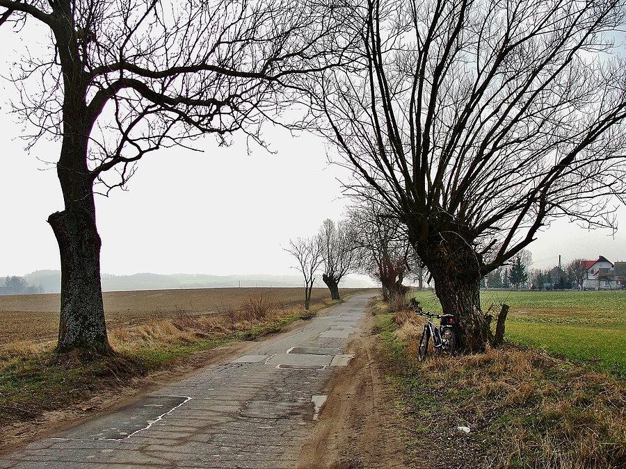 Kociewskie trasy rowerowe