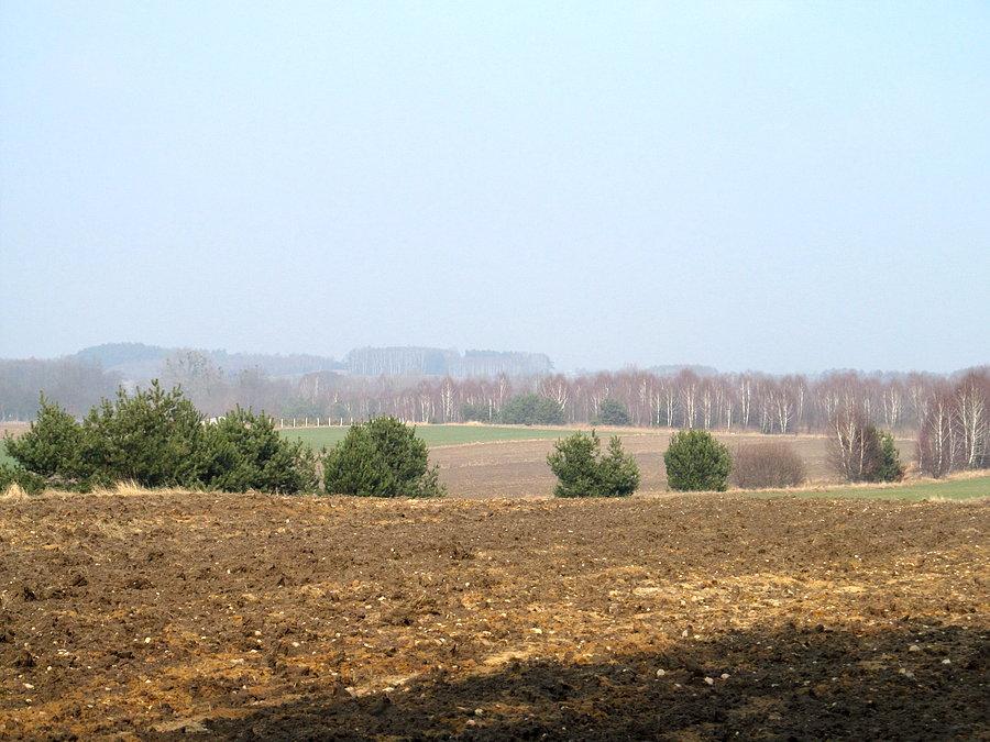 PKWŁ i widok z Bartolina w kierunku Strykowa