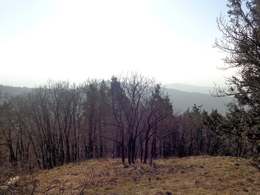 Widok z Raduni na Góry Sowie